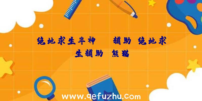 绝地求生半神pak辅助、绝地求生辅助