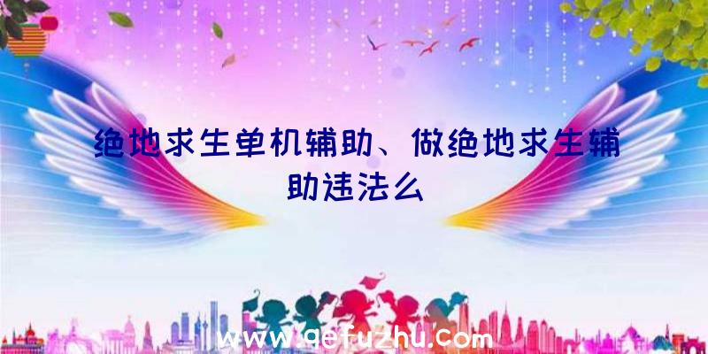 绝地求生单机辅助、做绝地求生辅助违法么