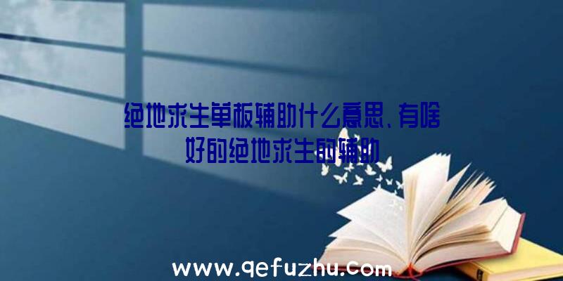 绝地求生单板辅助什么意思、有啥好的绝地求生的辅助