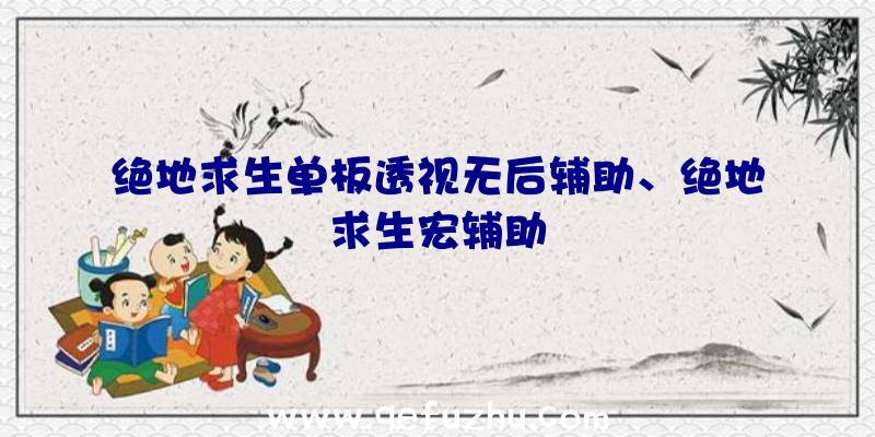 绝地求生单板透视无后辅助、绝地求生宏辅助