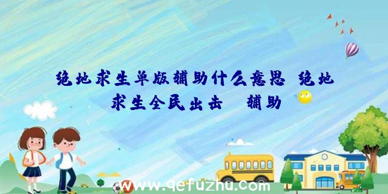 绝地求生单版辅助什么意思、绝地求生全民出击pc辅助