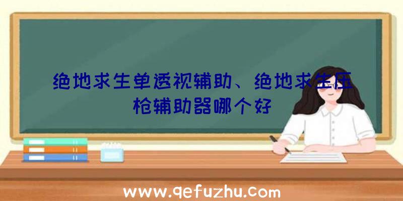 绝地求生单透视辅助、绝地求生压枪辅助器哪个好