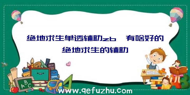 绝地求生单透辅助zb、有啥好的绝地求生的辅助