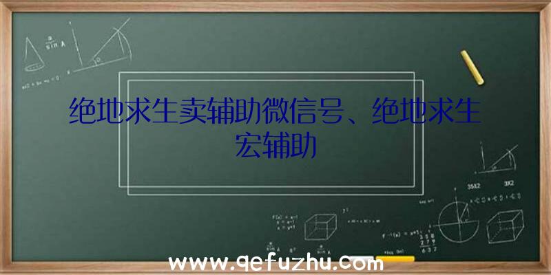 绝地求生卖辅助微信号、绝地求生宏辅助