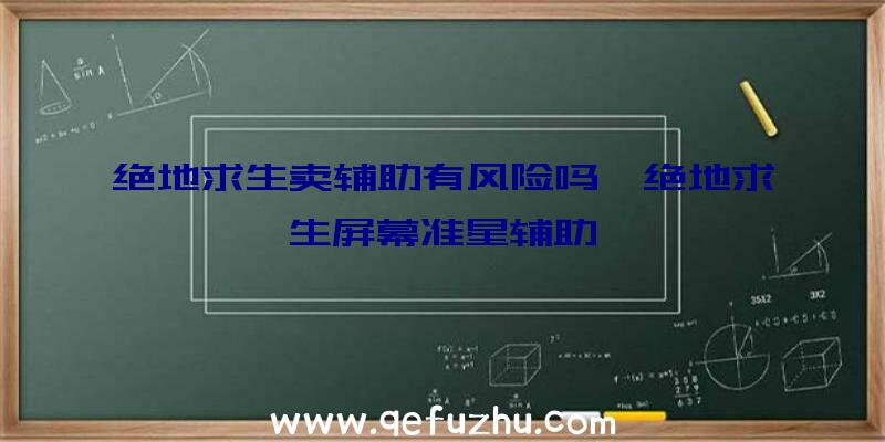 绝地求生卖辅助有风险吗、绝地求生屏幕准星辅助