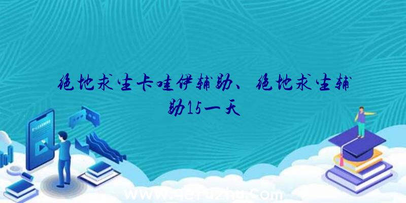 绝地求生卡哇伊辅助、绝地求生辅助15一天