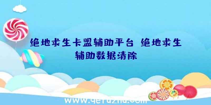 绝地求生卡盟辅助平台、绝地求生辅助数据清除