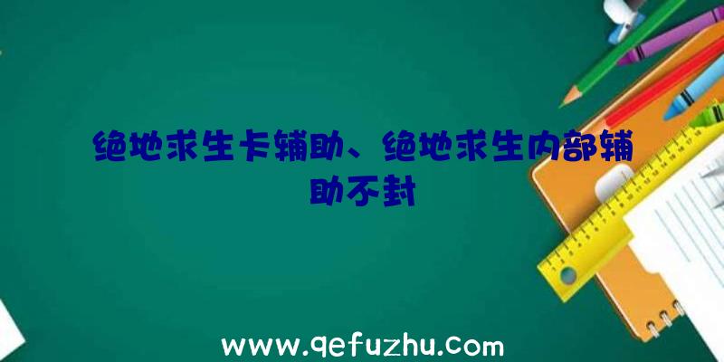 绝地求生卡辅助、绝地求生内部辅助不封