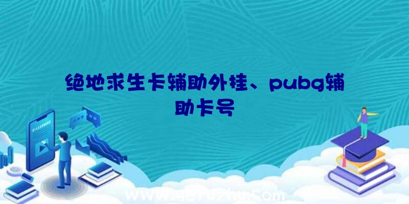 绝地求生卡辅助外挂、pubg辅助卡号