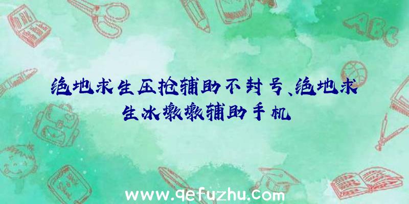 绝地求生压抢辅助不封号、绝地求生冰墩墩辅助手机