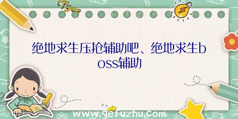 绝地求生压抢辅助吧、绝地求生boss辅助