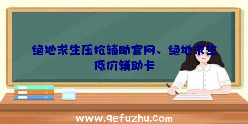 绝地求生压抢辅助官网、绝地求生低价辅助卡