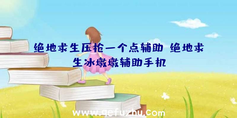 绝地求生压枪一个点辅助、绝地求生冰墩墩辅助手机