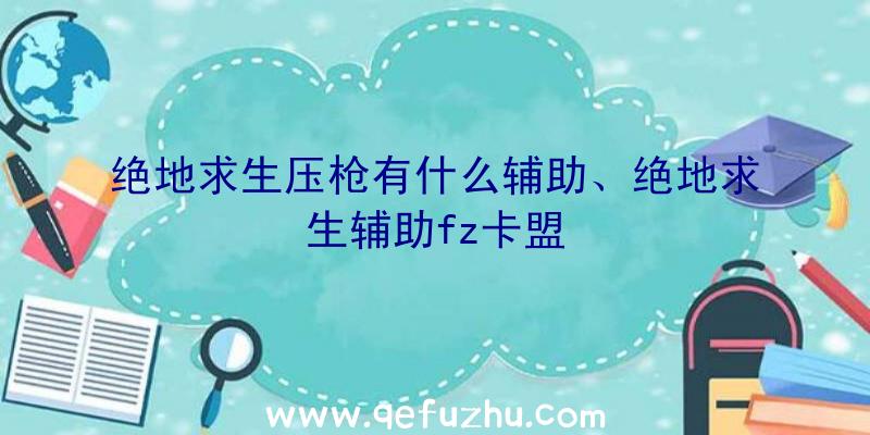 绝地求生压枪有什么辅助、绝地求生辅助fz卡盟