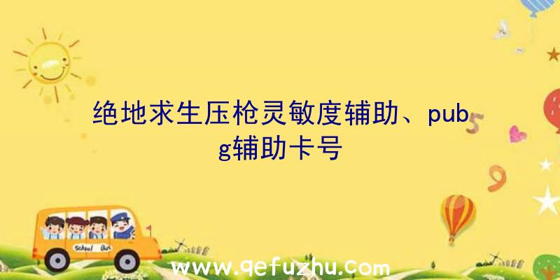 绝地求生压枪灵敏度辅助、pubg辅助卡号