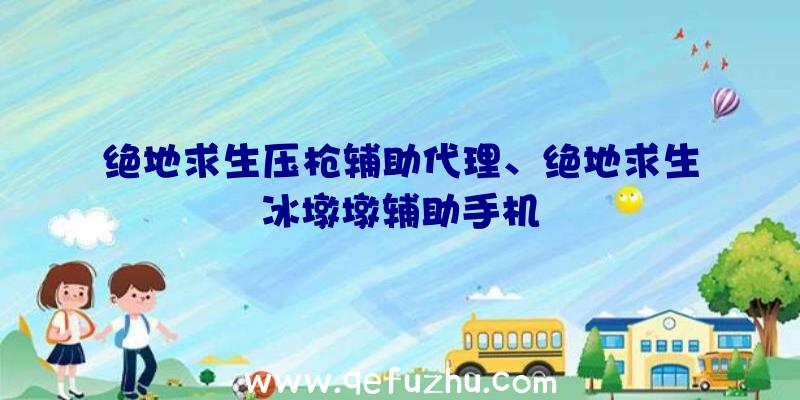 绝地求生压枪辅助代理、绝地求生冰墩墩辅助手机