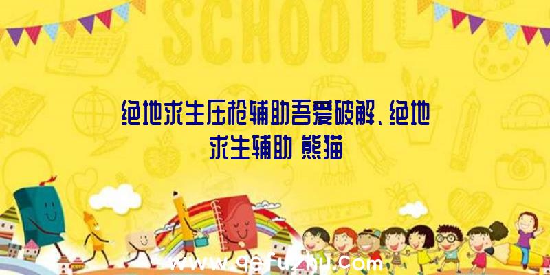 绝地求生压枪辅助吾爱破解、绝地求生辅助