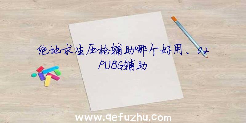 绝地求生压枪辅助哪个好用、02PUBG辅助