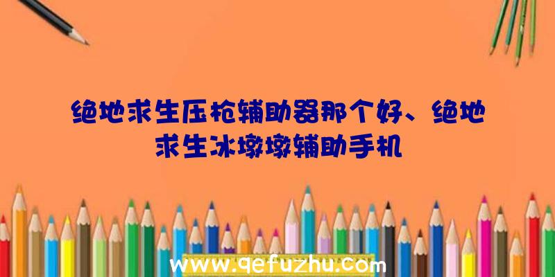 绝地求生压枪辅助器那个好、绝地求生冰墩墩辅助手机