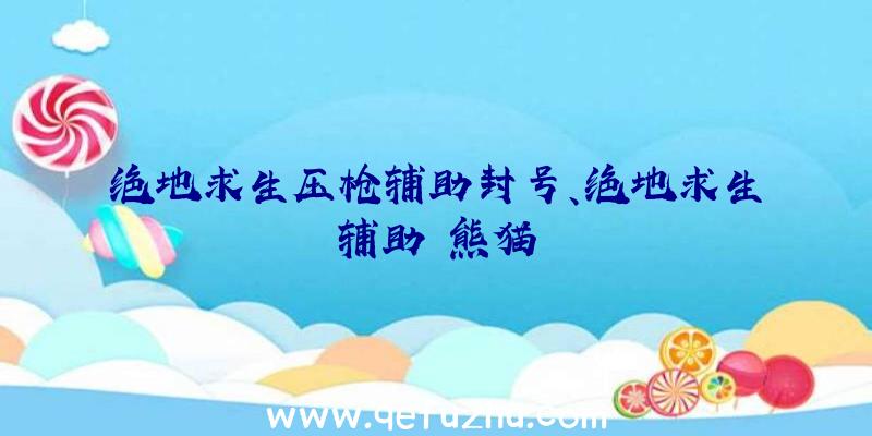 绝地求生压枪辅助封号、绝地求生辅助