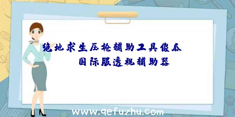 绝地求生压枪辅助工具傻瓜、pubg国际服透视辅助器