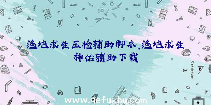 绝地求生压枪辅助脚本、绝地求生神佑辅助下载