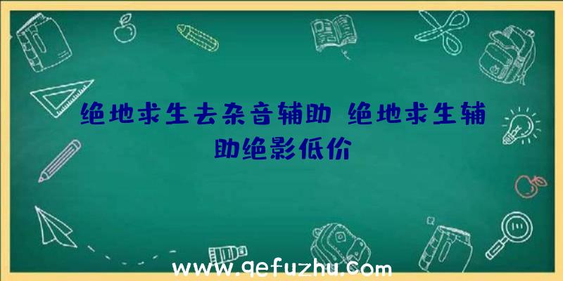 绝地求生去杂音辅助、绝地求生辅助绝影低价