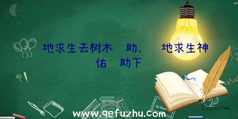 绝地求生去树木辅助、绝地求生神佑辅助下载