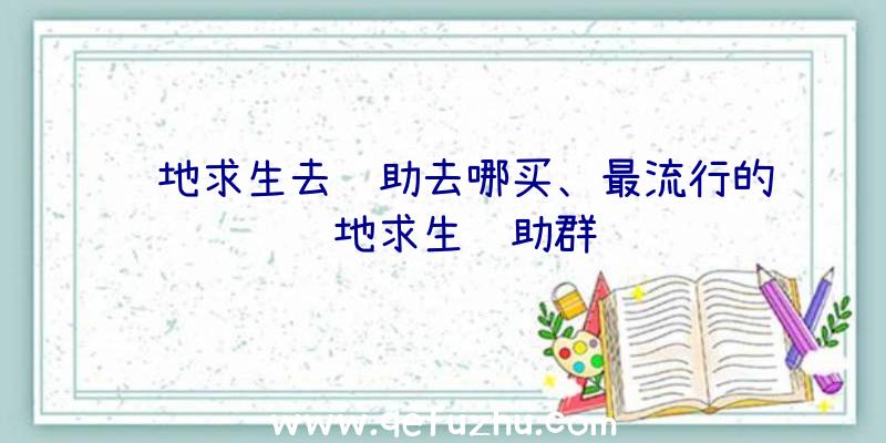 绝地求生去辅助去哪买、最流行的绝地求生辅助群