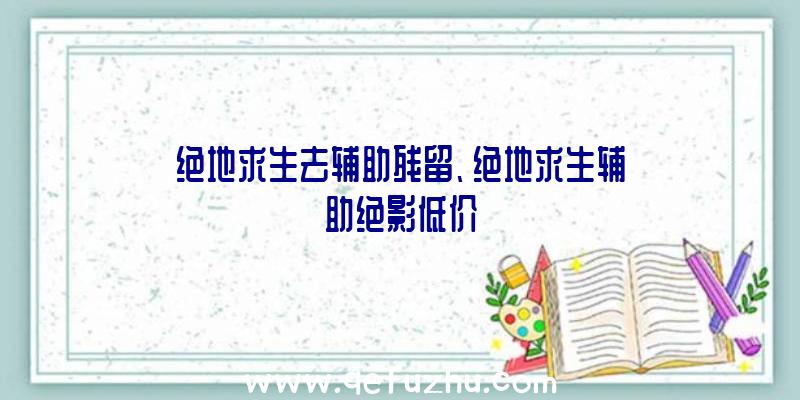 绝地求生去辅助残留、绝地求生辅助绝影低价