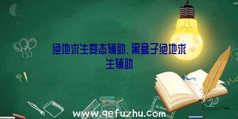 绝地求生变态辅助、黑盒子绝地求生辅助