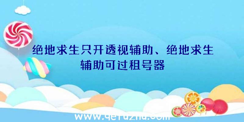 绝地求生只开透视辅助、绝地求生辅助可过租号器