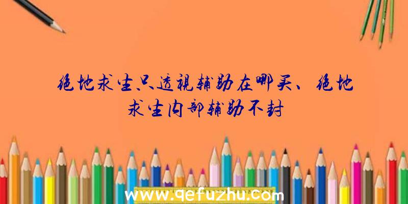 绝地求生只透视辅助在哪买、绝地求生内部辅助不封