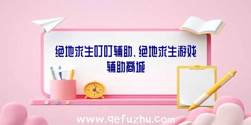 绝地求生叮叮辅助、绝地求生游戏辅助商城