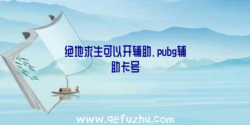 绝地求生可以开辅助、pubg辅助卡号