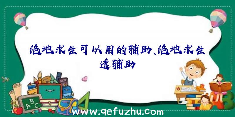 绝地求生可以用的辅助、绝地求生透辅助