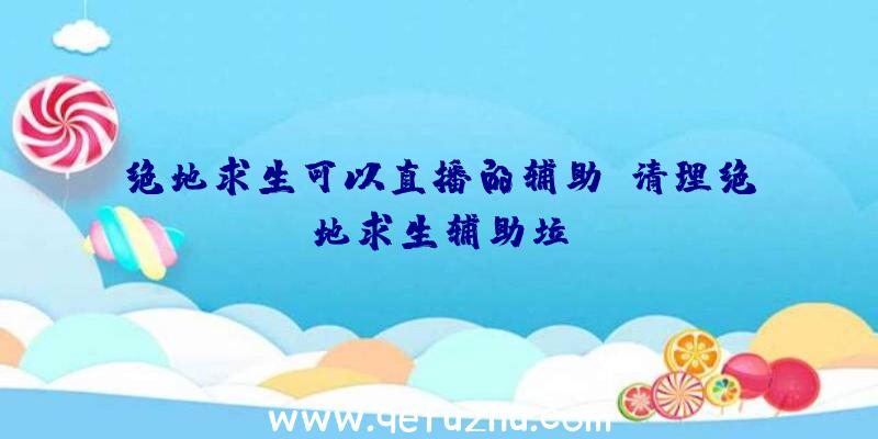 绝地求生可以直播的辅助、清理绝地求生辅助垃圾