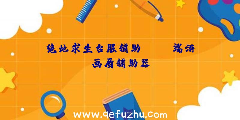 绝地求生台服辅助、pubg端游画质辅助器