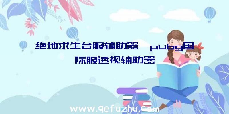 绝地求生台服辅助器、pubg国际服透视辅助器