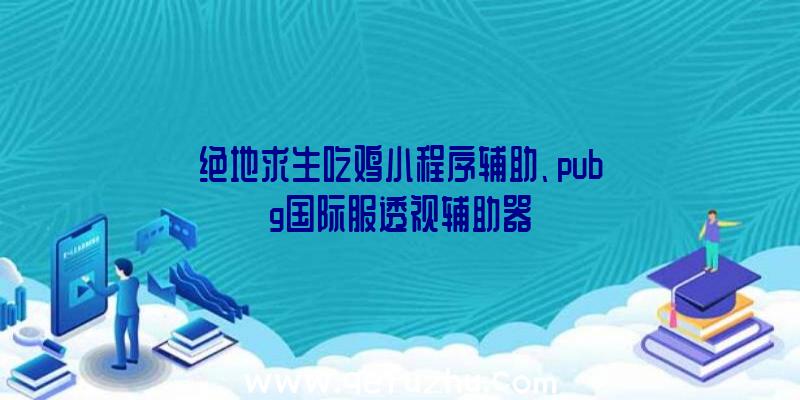 绝地求生吃鸡小程序辅助、pubg国际服透视辅助器