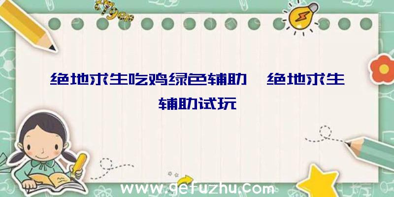 绝地求生吃鸡绿色辅助、绝地求生辅助试玩