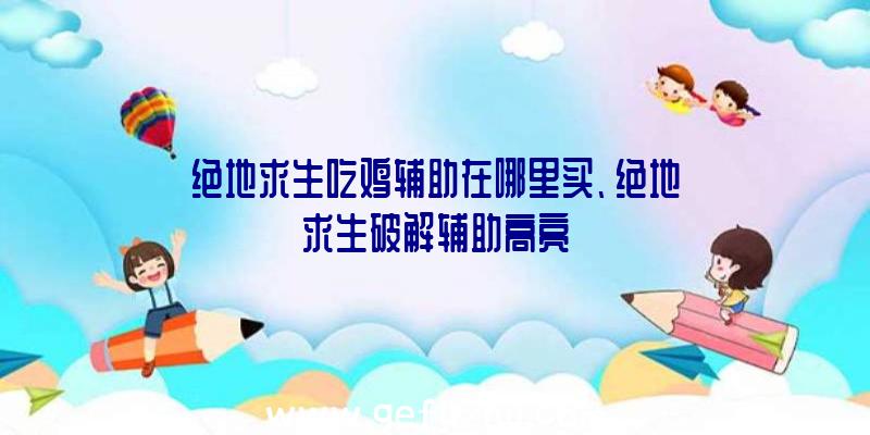 绝地求生吃鸡辅助在哪里买、绝地求生破解辅助高亮