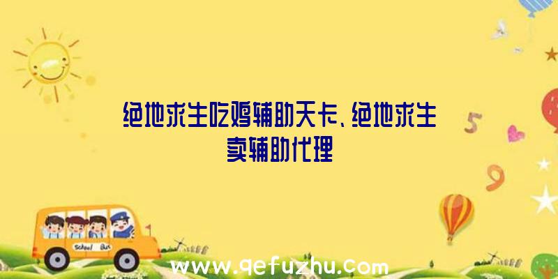 绝地求生吃鸡辅助天卡、绝地求生卖辅助代理