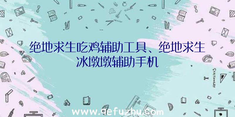 绝地求生吃鸡辅助工具、绝地求生冰墩墩辅助手机