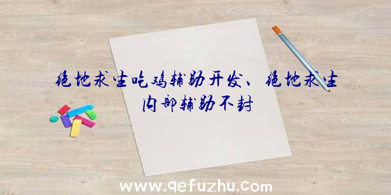 绝地求生吃鸡辅助开发、绝地求生内部辅助不封