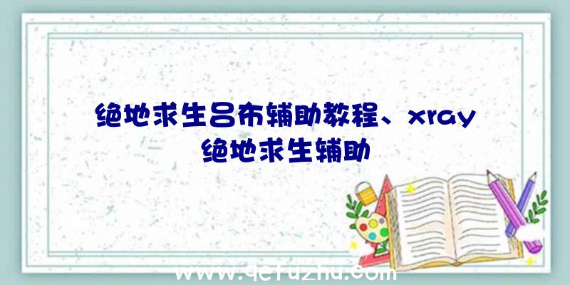 绝地求生吕布辅助教程、xray绝地求生辅助