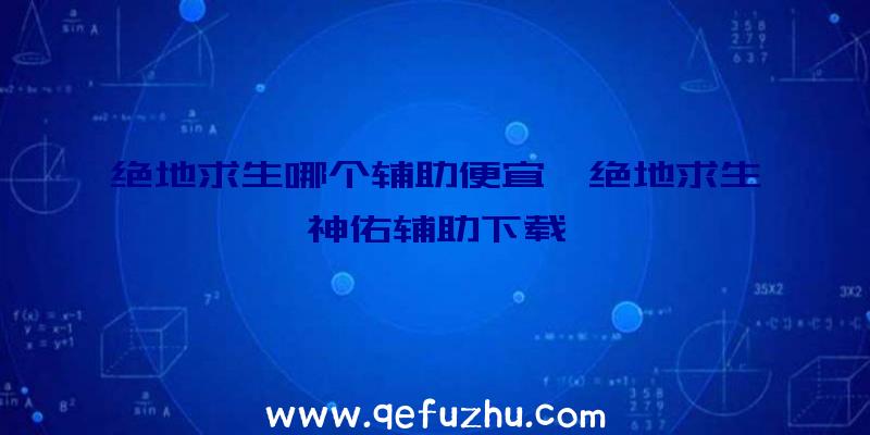 绝地求生哪个辅助便宜、绝地求生神佑辅助下载