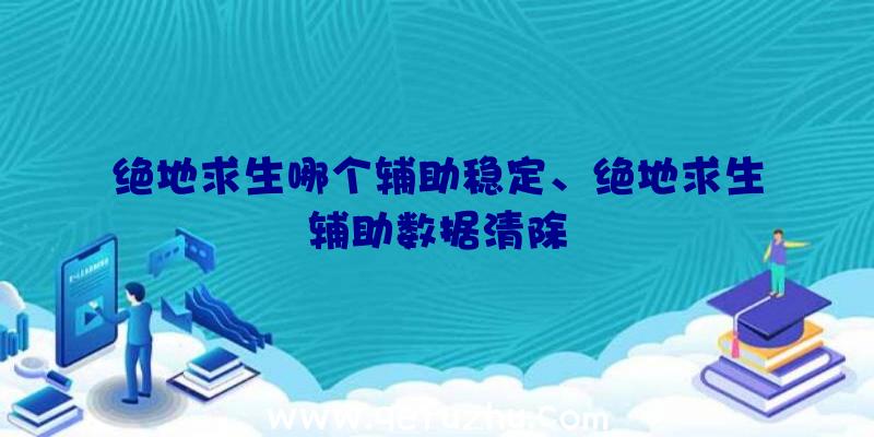 绝地求生哪个辅助稳定、绝地求生辅助数据清除