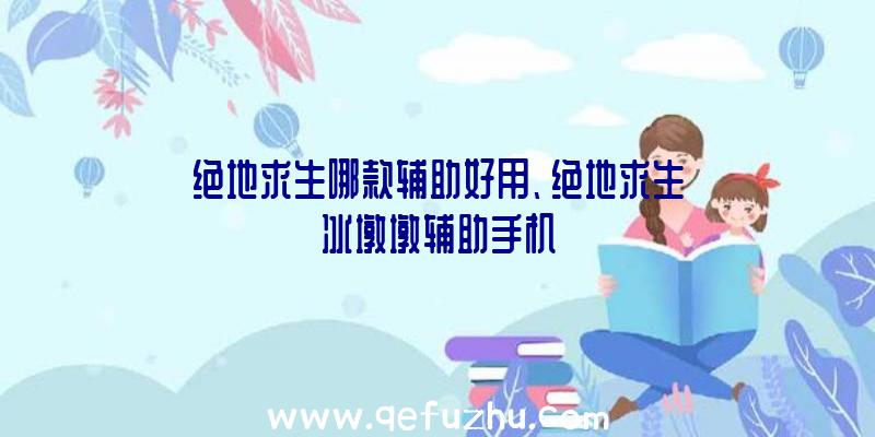 绝地求生哪款辅助好用、绝地求生冰墩墩辅助手机