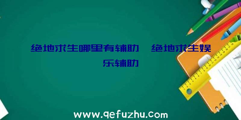 绝地求生哪里有辅助、绝地求生娱乐辅助